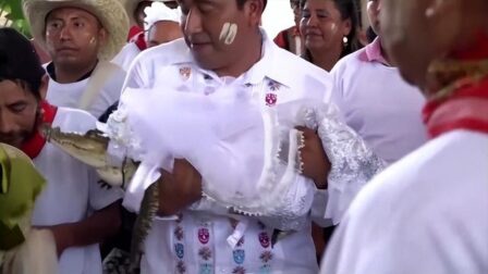 惊呆了，墨西哥一市长与鳄鱼结婚
